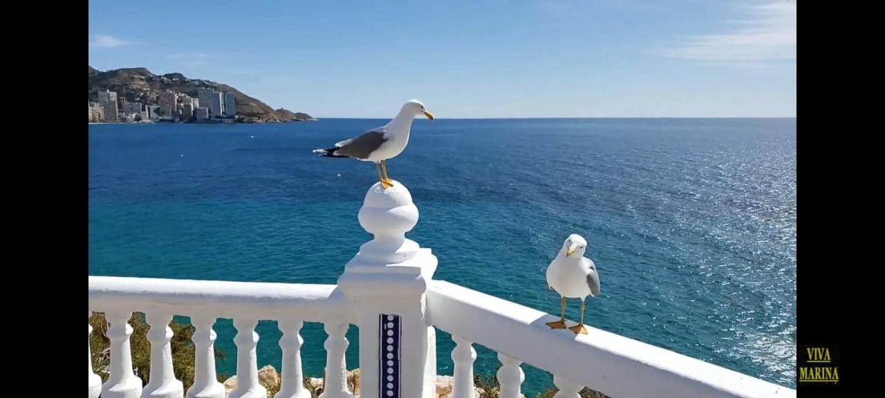 Apartamento Sun Beach Бенидорм Экстерьер фото